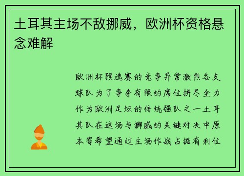 土耳其主场不敌挪威，欧洲杯资格悬念难解