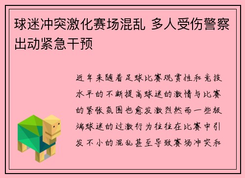 球迷冲突激化赛场混乱 多人受伤警察出动紧急干预